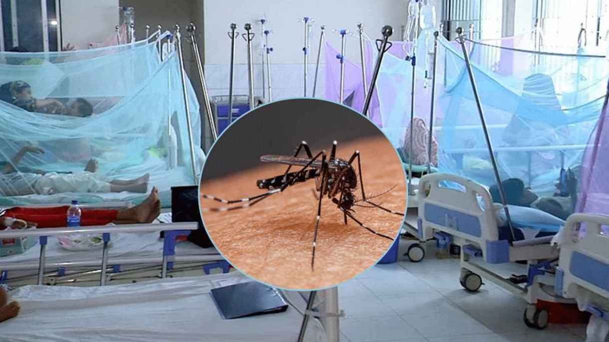 ঢাকায় একদিনে ডেঙ্গুতে মৃত্যু ৪, হাসপাতালে নতুন ৮৪৫ রোগী